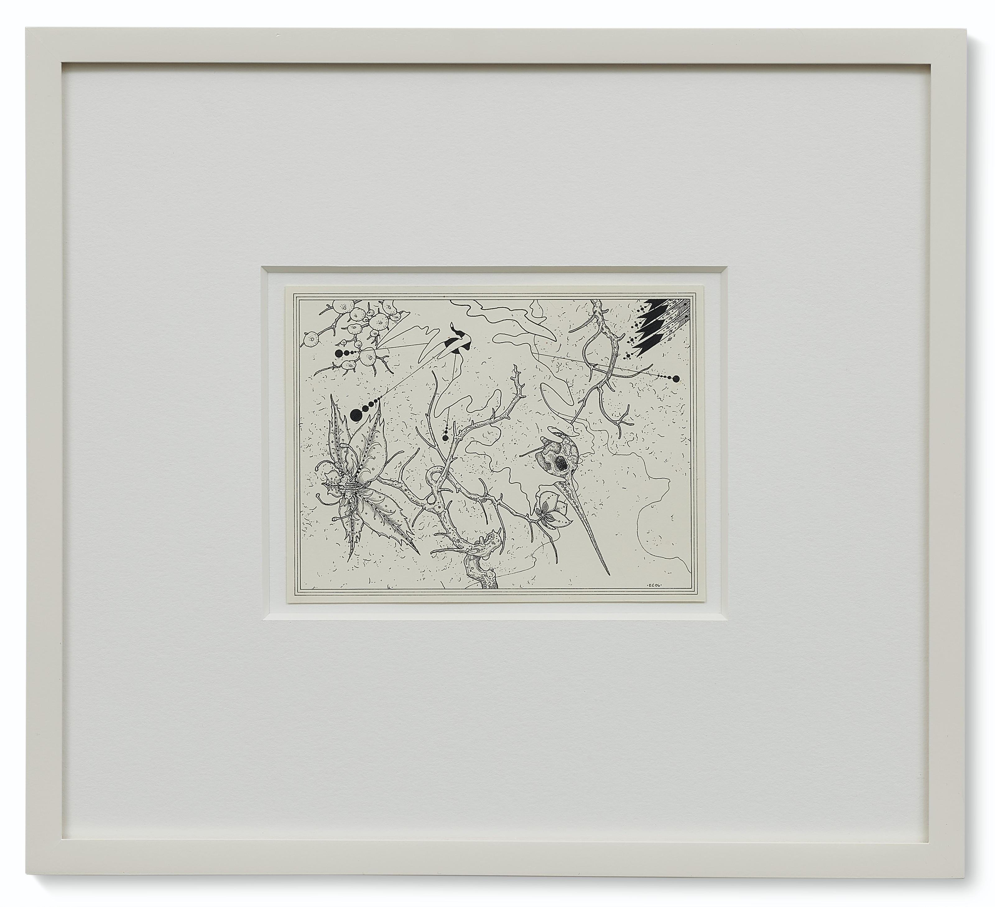 Ernesto Caivano - Open Skull and Bloom