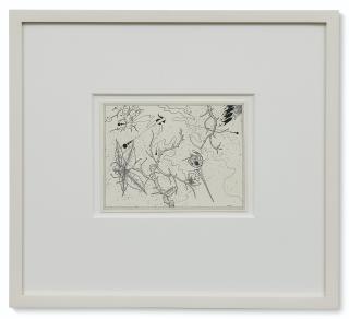 Ernesto Caivano - Open Skull and Bloom