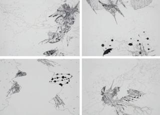 Ernesto Caivano - The Birds and Waterfall (I-IV)