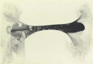 Ernesto Neto - Canaaaalllu