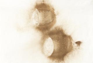 Ernesto Neto - Dois Anéis (Two Rings)