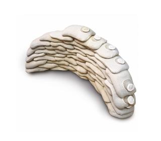 Ernesto Neto - Epiderme Barricada