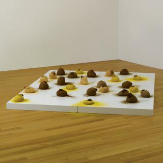 Ernesto Neto - Labioides De Cheiro