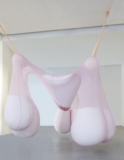 Ernesto Neto - Nem Tudo São Flores 