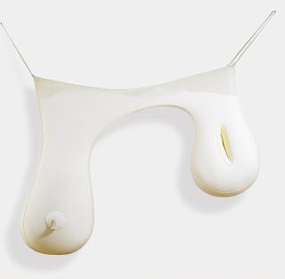 Ernesto Neto - Untitled 