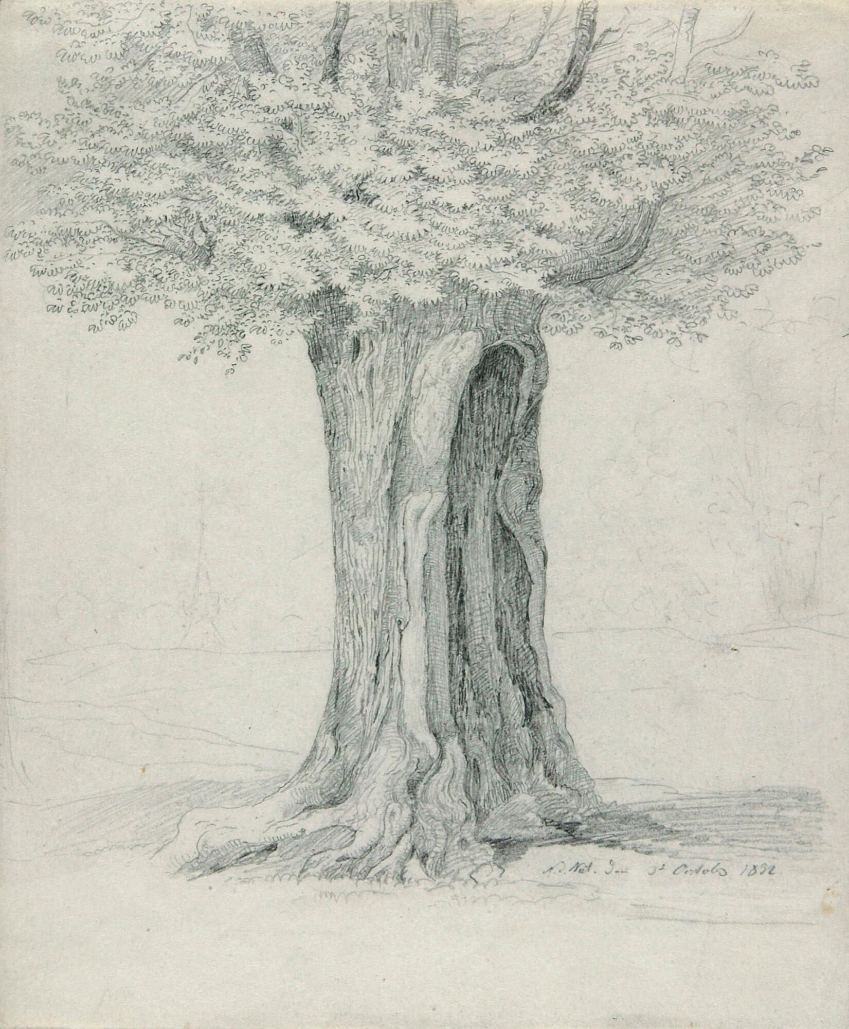 Ernst Ferdinand Oehme - Baumstudie.