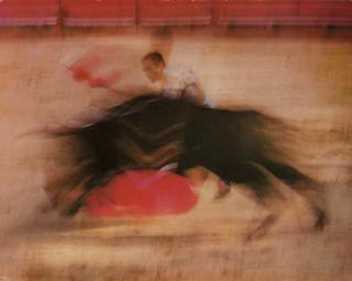 Ernst Haas - Bullfight; and Rose, c. 1956