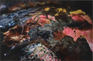 Ernst Haas - \'The Creation\'