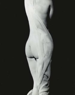 Erwin Blumenfeld - Nude, Paris, 1936