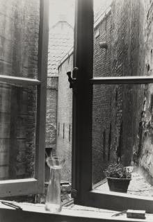 Erwin Blumenfeld - Paris, Montparnasse (Window with hyacinth vase)