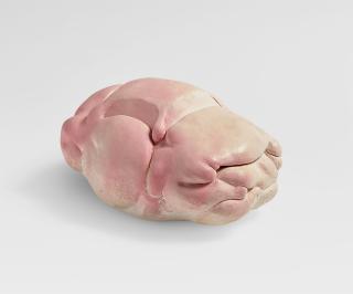 Erwin Wurm - Dumpling Car