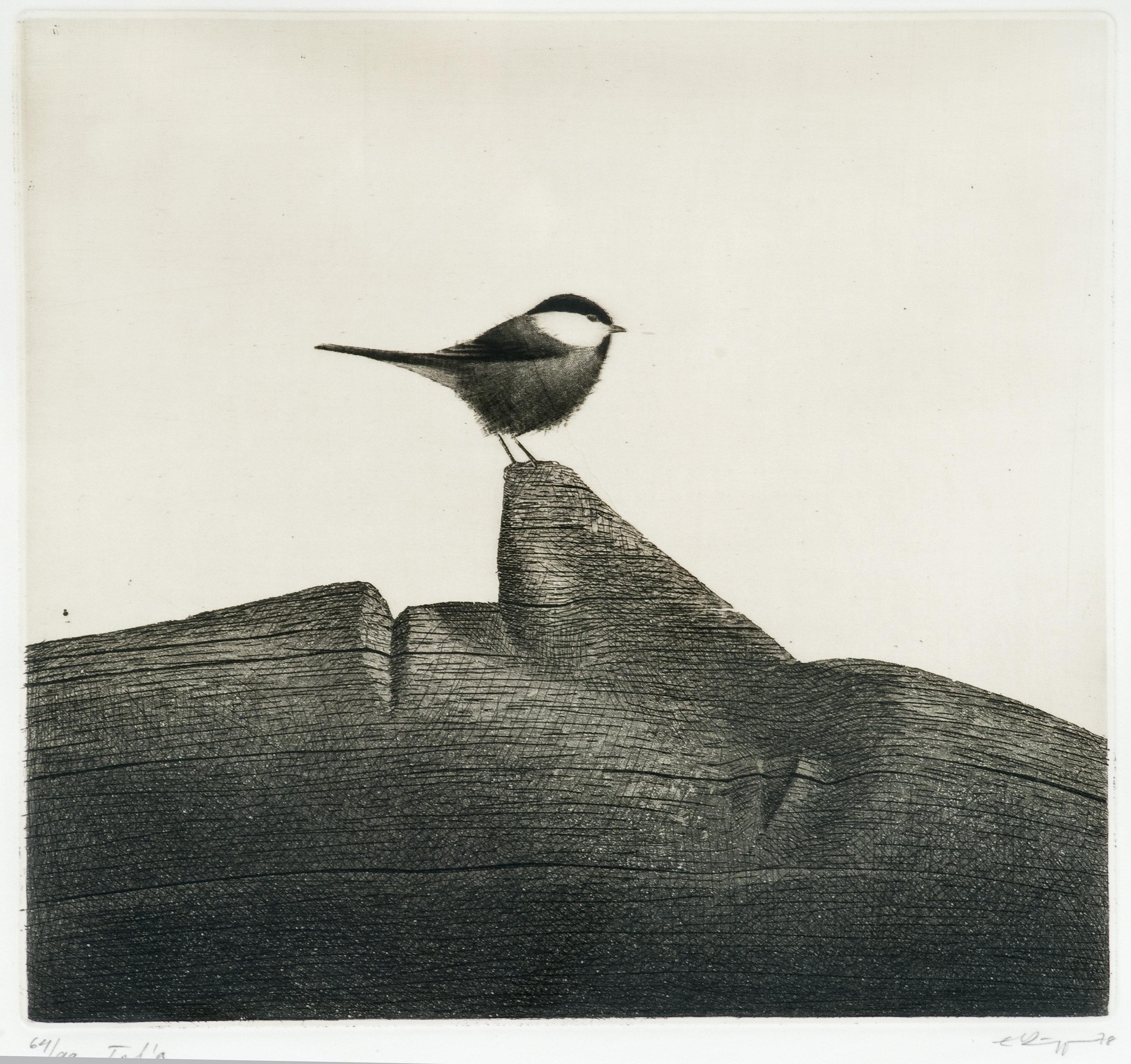 Esa Riippa - Nenällehyppijä.