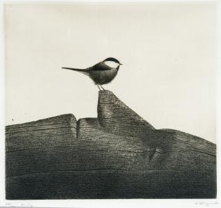 Esa Riippa - Nenällehyppijä.