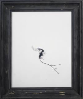 Esko Männikkö - Betulla Pendula?