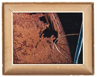 Esko Männikkö - Click Beetle?