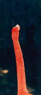 Esko Männikkö - Ohne Titel.