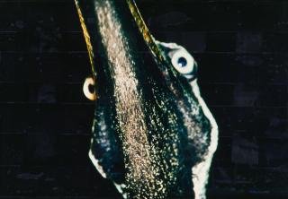 Esko Männikkö - Ohne Titel.