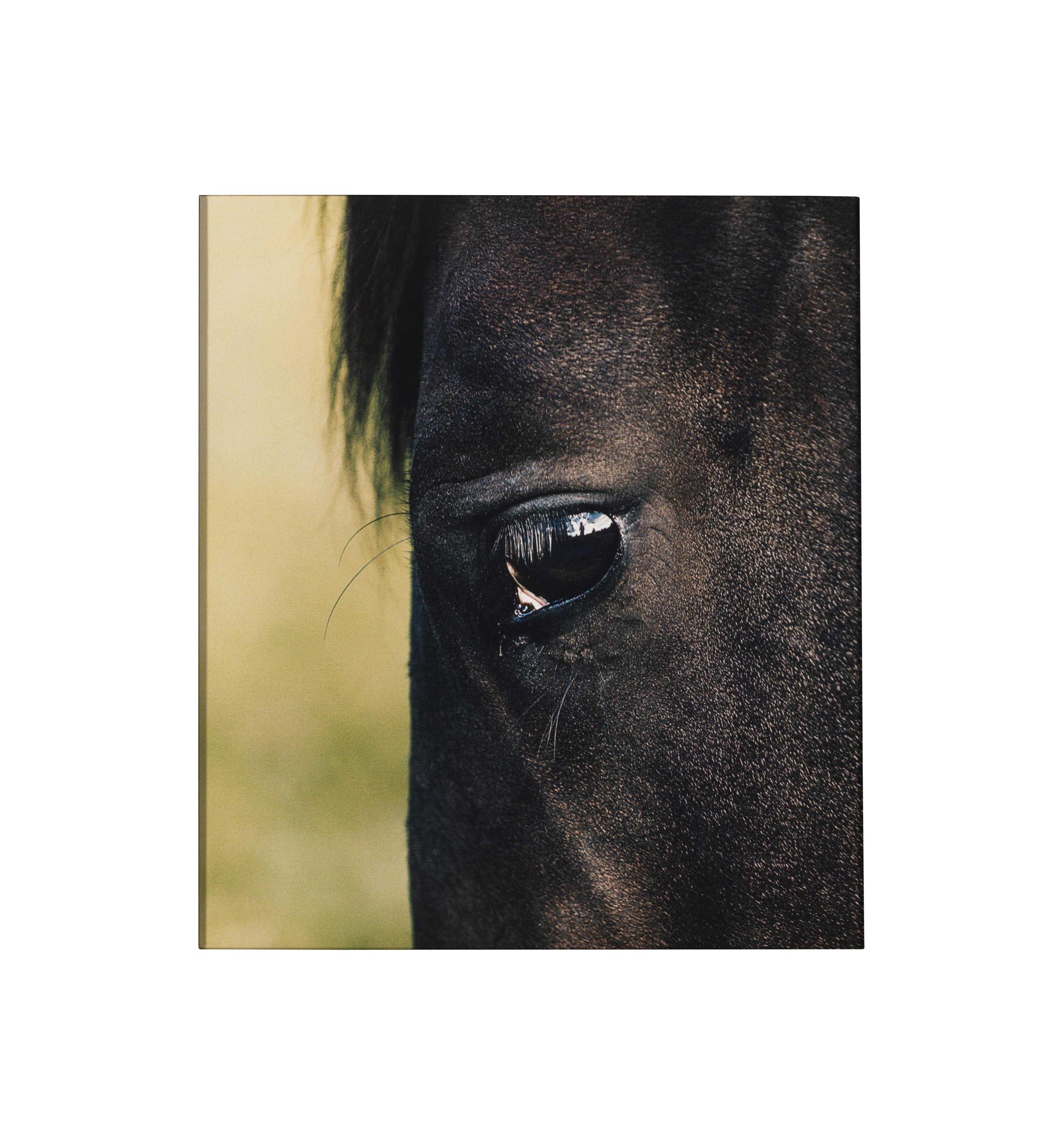 Esko Männikkö - Untitled, 2009