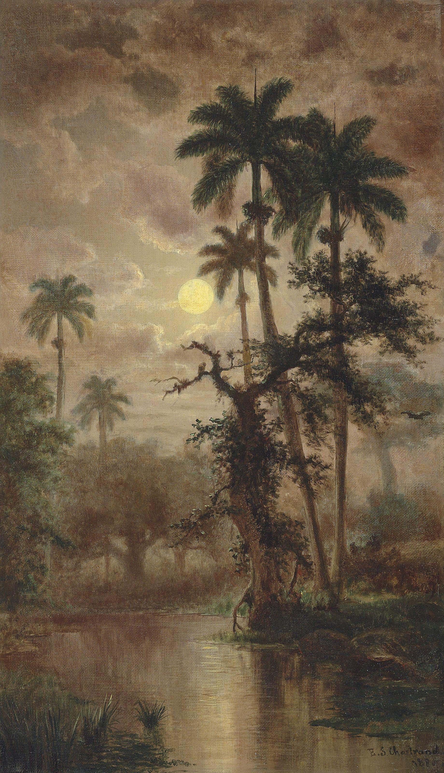 Esteban Sebastian Chartrand - La Noche. Vista del Arrario Juotea cerca de Sabanilla