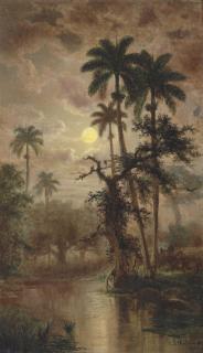 Esteban Sebastian Chartrand - La Noche. Vista del Arrario Juotea cerca de Sabanilla