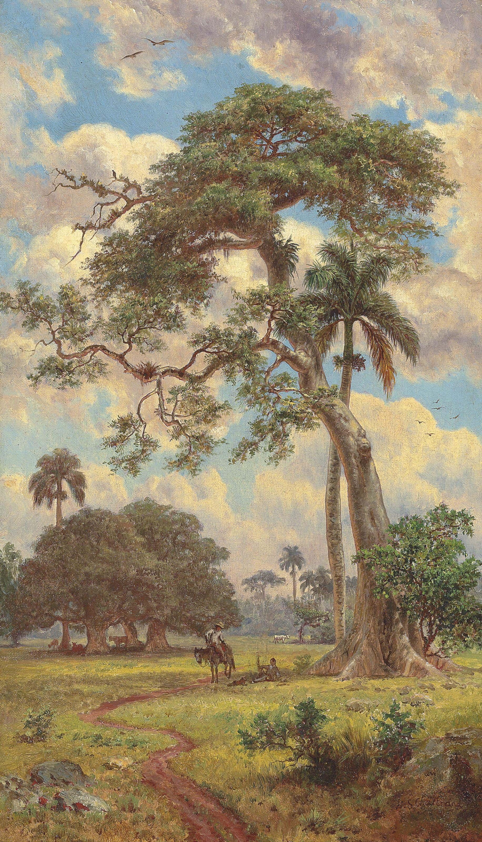 Esteban Sebastian Chartrand - Medio-dia. Potrero en Caoba