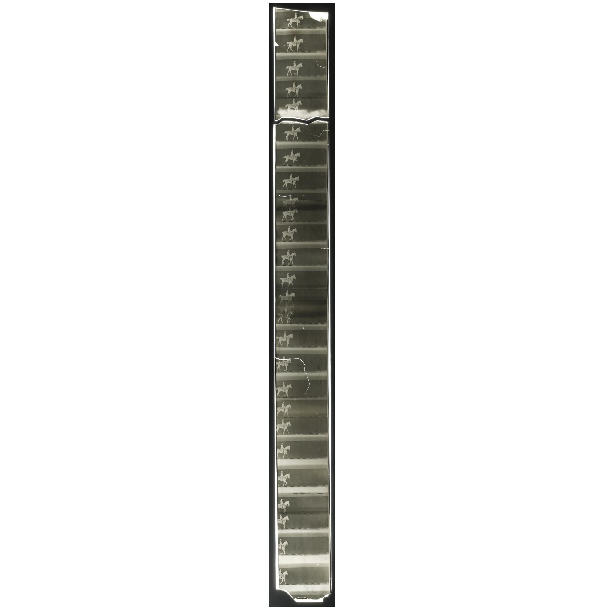 Etienne-Jules Marey - Chronophotographic Strip Depicting A Horse And Rider, Early 1890S