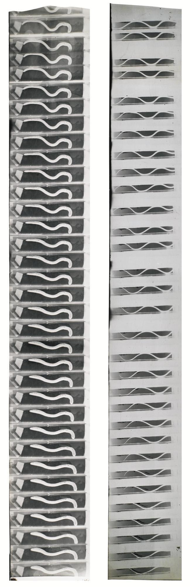 Etienne-Jules Marey - Couleuvre