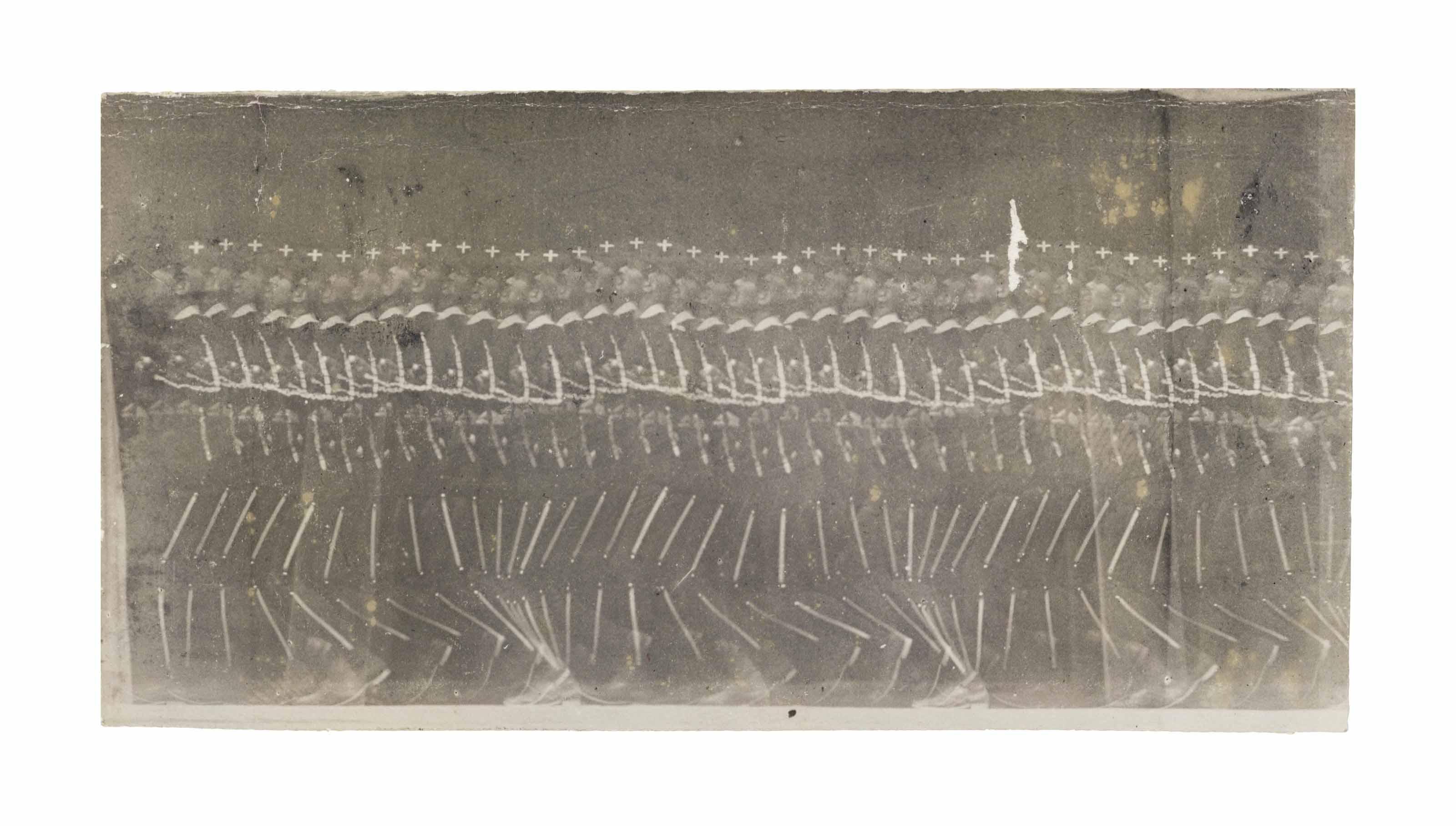 Étienne-Jules Marey - Man Walking, 1882