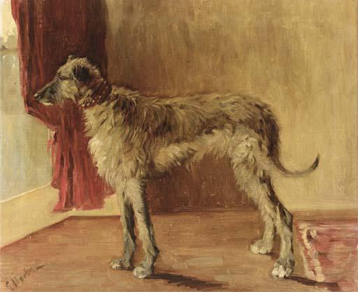 Etty Horton - An Irish wolf hound