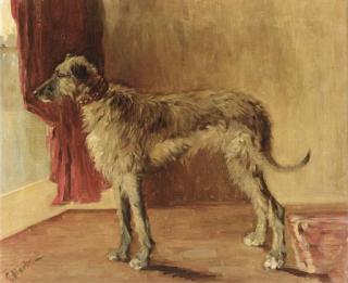 Etty Horton - An Irish wolf hound