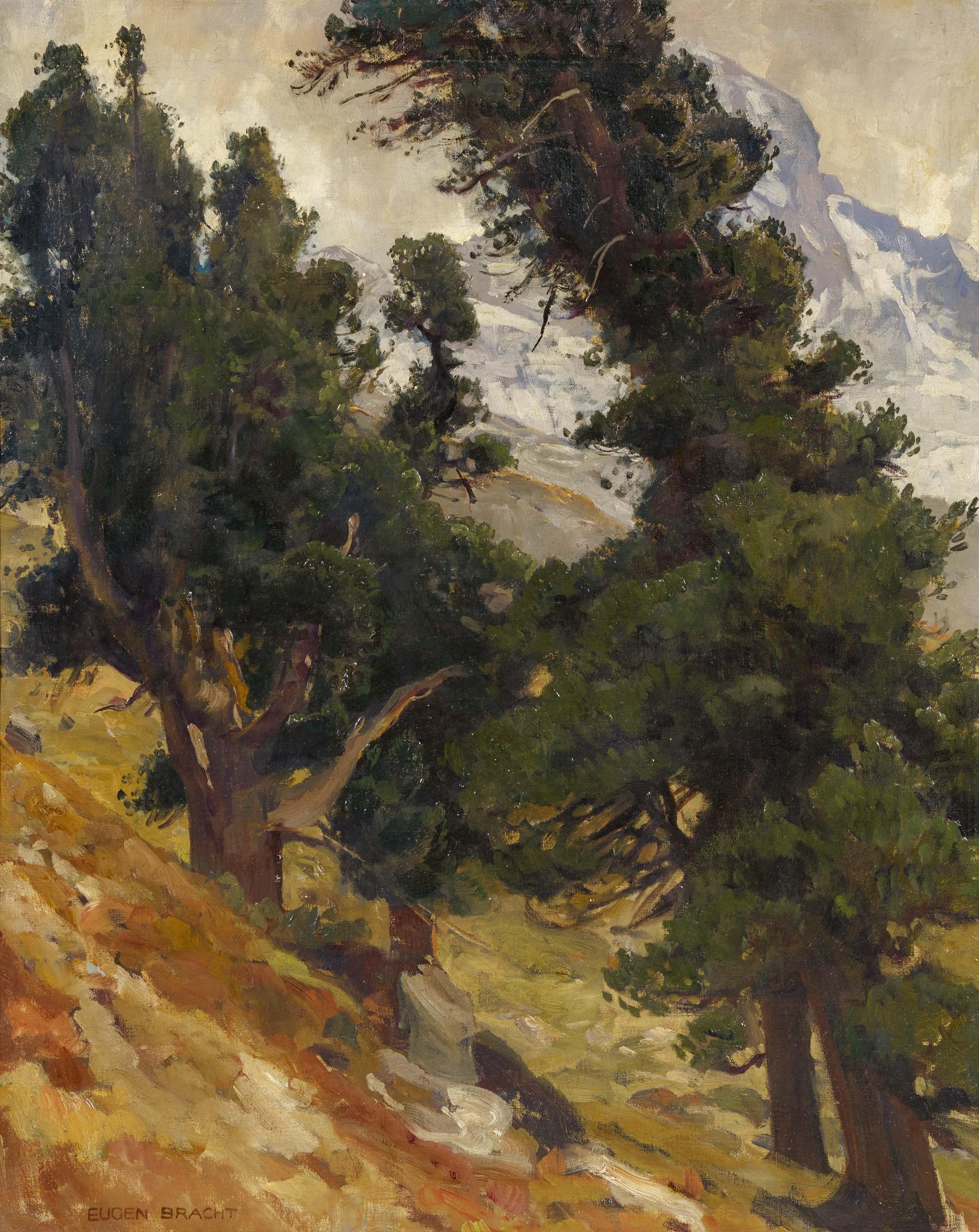 Eugen Bracht - Arven-Landschaft in der Schweiz.