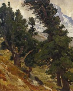 Eugen Bracht - Arven-Landschaft in der Schweiz