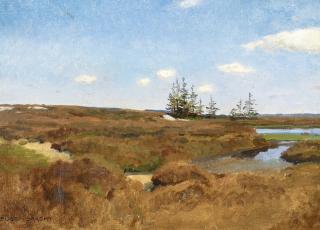 Eugen Bracht - Heidemoor