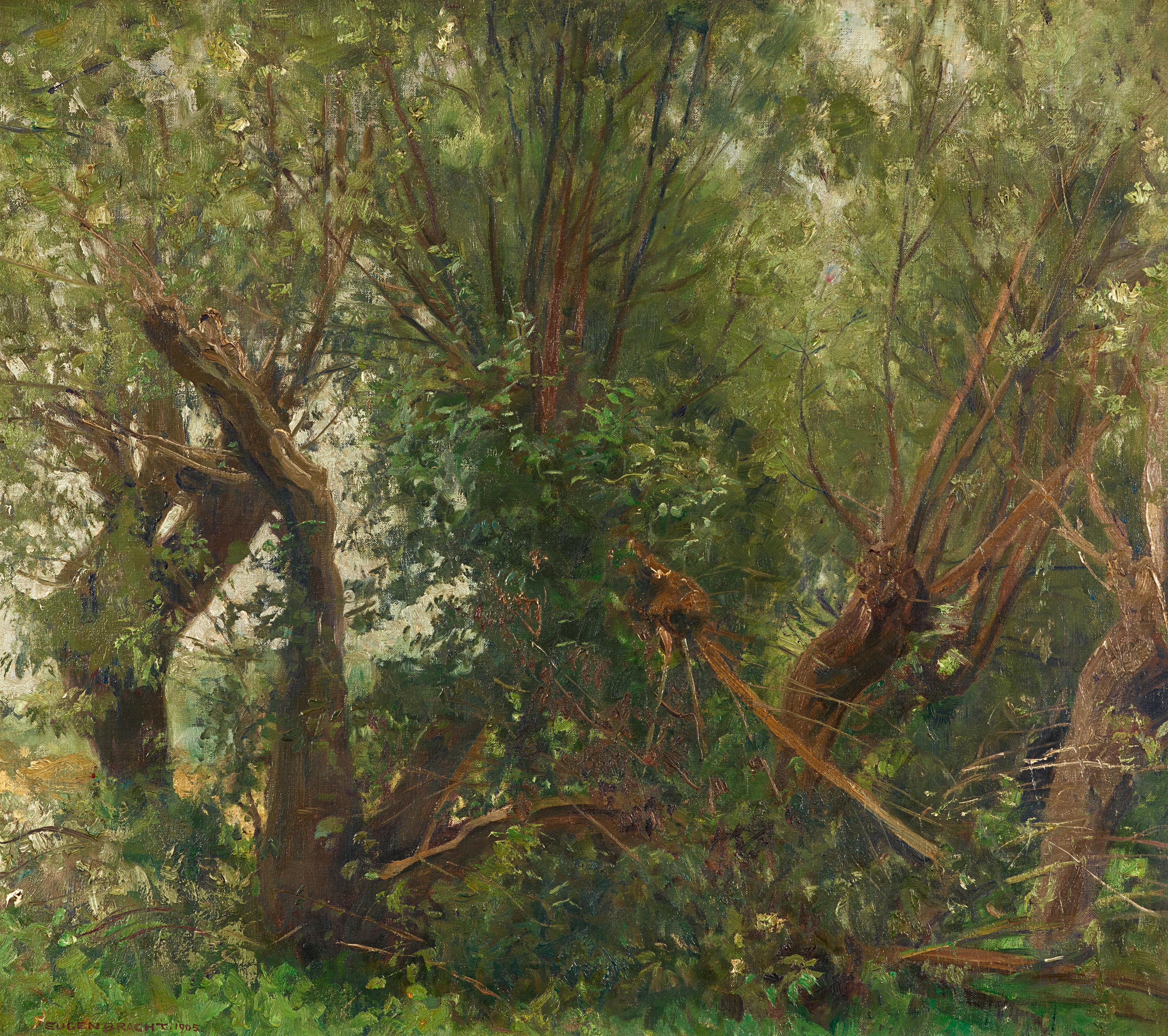 Eugen Bracht - Weidenwäldchen
