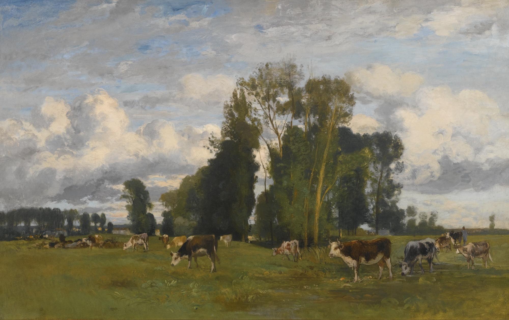 Eugen Jettel - Austrian grazing Cows On A Meadow