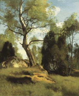 Eugene Antoine Samuel Lavieille - Bouleau près d\'un rocher