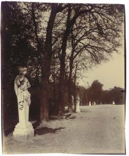 Eugène Atget - Coin de Parc, Versailles, c. 1903