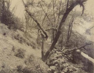 Eugene Atget - Fortifications, Porte Dauphine, c. 1908