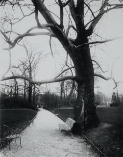 Eugène Atget - Parc Monceau