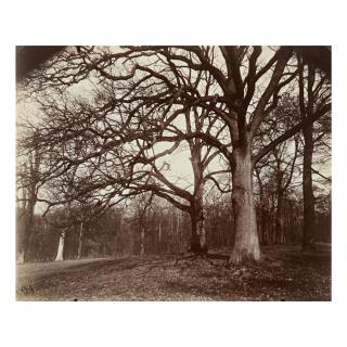 Eugène Atget - \'St. Cloud\'