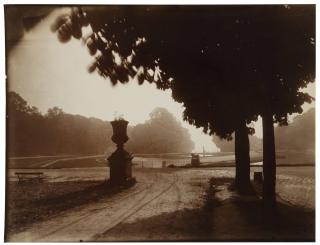 Eugène Atget - \'St. Cloud\'