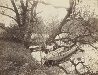 Eugène Atget - \'Ville D\'Avray\'