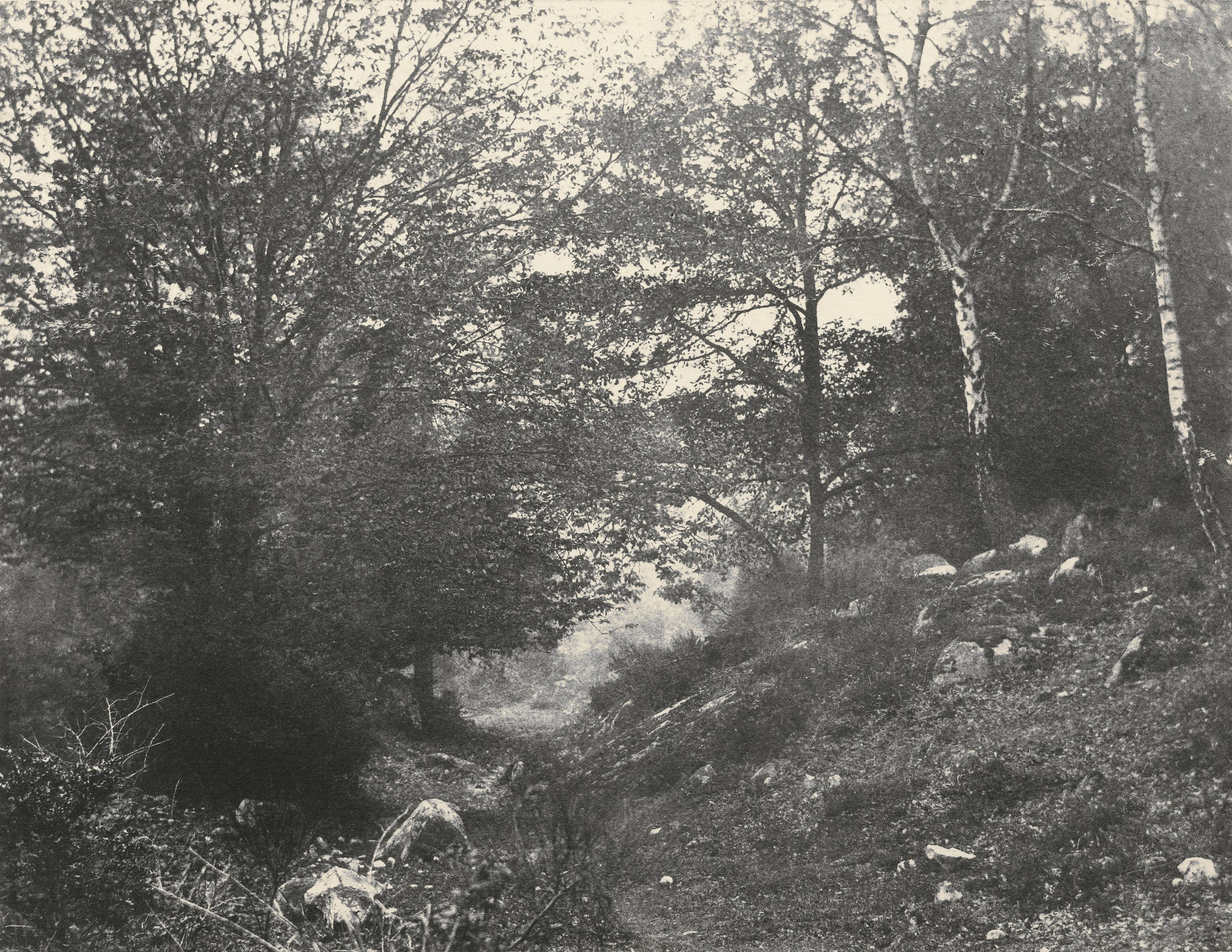 Eugène Cuvelier - Au Bas Du Point De Vue Du Champ, Forêt De Fontainebleau, 1862Salt Print, Mounted On Original Card, Dated 17 9Bre 62 In Pencil On The Card At Lower Right.
