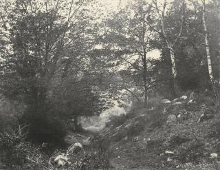 Eugène Cuvelier - Au Bas Du Point De Vue Du Champ, Forêt De Fontainebleau, 1862Salt Print, Mounted On Original Card, Dated 17 9Bre 62 In Pencil On The Card At Lower Right.