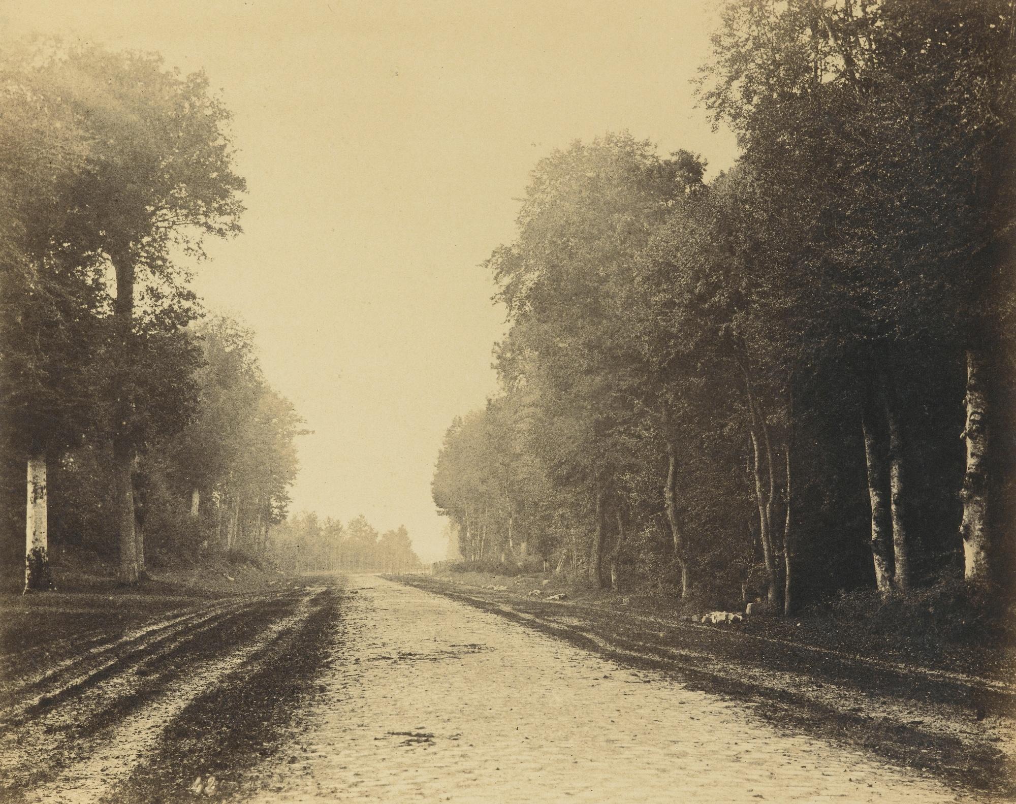 Eugène Cuvelier - Chailly, Route De Fontainebleau, 1863Albumen Print, Flush-Mounted To Original Card. Mounted And Framed.