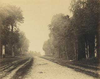 Eugène Cuvelier - Chailly, Route De Fontainebleau, 1863Albumen Print, Flush-Mounted To Original Card. Mounted And Framed.