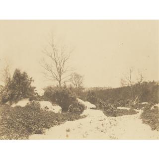 Eugène Cuvelier - Forêt De Fontainebleau.  Sous-Bois Sous La Neige, Early 1860S
