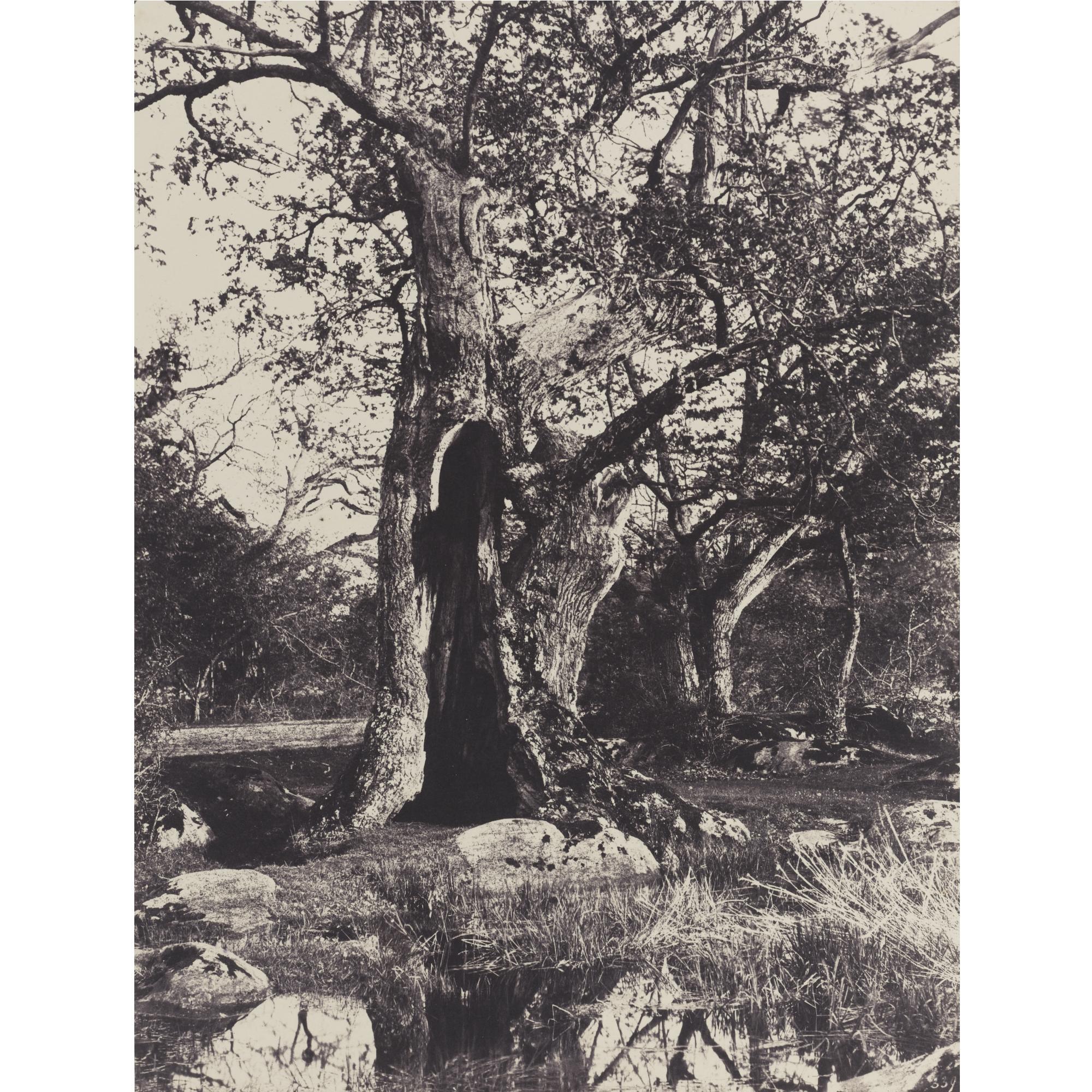 Eugène Cuvelier - \'Le Clovis\'