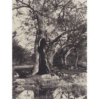 Eugène Cuvelier - \'Le Clovis\'