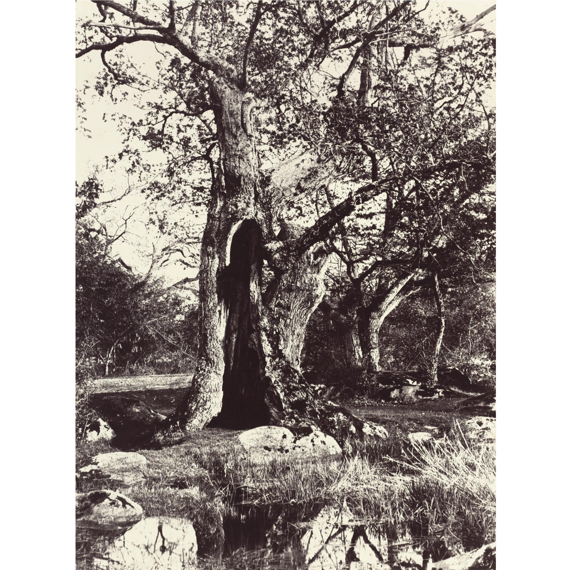 Eugène Cuvelier - \'Le Clovis\'